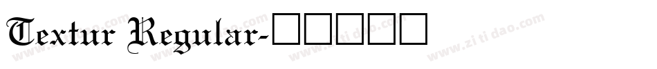 Textur Regular字体转换